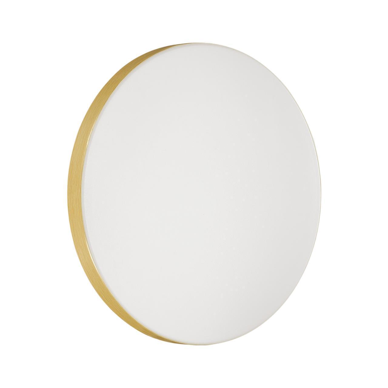 Изображение Настенно-потолочный светодиодный светильник Sonex Mini Smalli 3066/AL