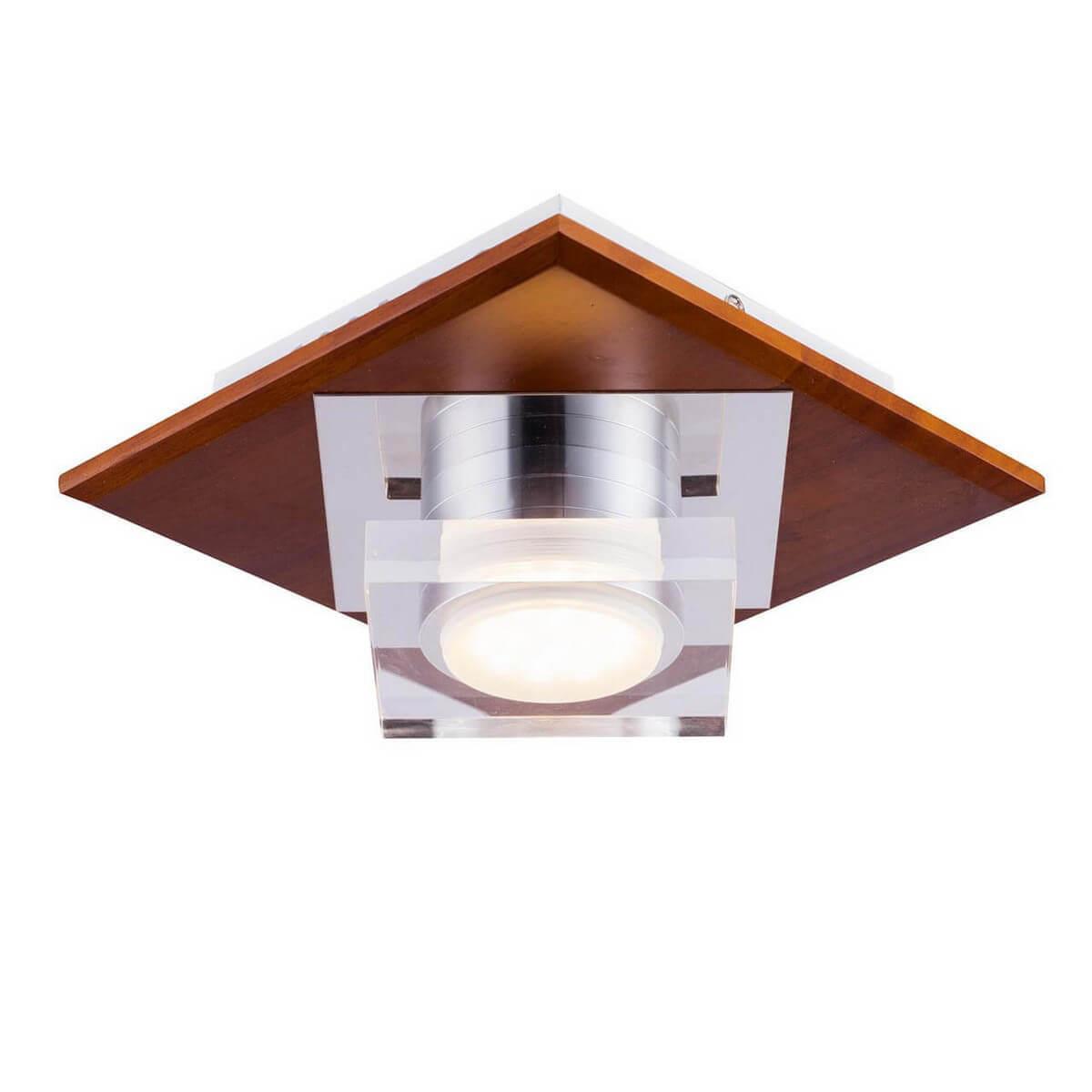 Изображение Потолочный светильник Lucia Tucci Natura 073.1 Led Venge