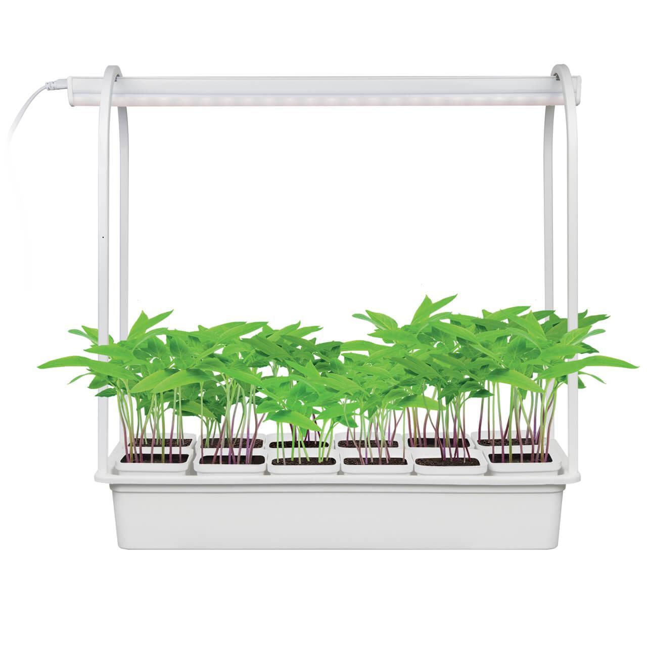 Изображение Светодиодный светильник для растений Uniel Minigarden ULT-P34-10W/SPBR IP20 White 12 UL-00007471