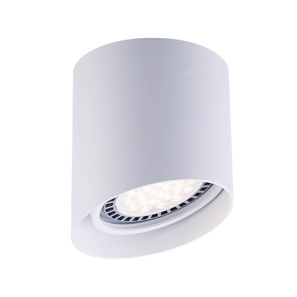 Изображение Потолочный светильник Zumaline Parc ACGU10-128