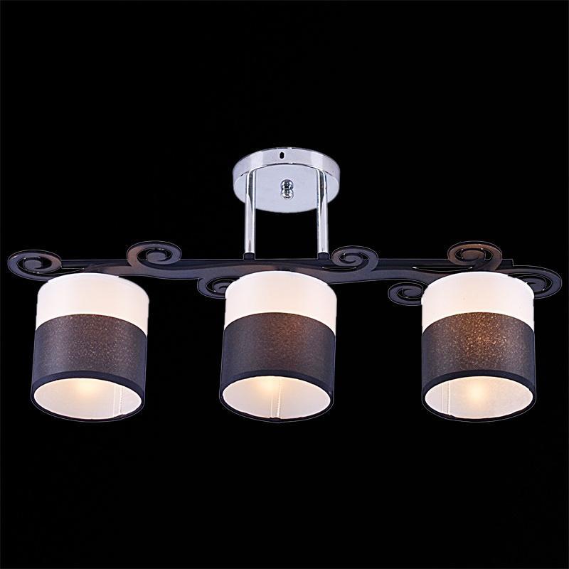 Изображение Потолочный светильник Reluce 05019-0.3-03C BK+CR