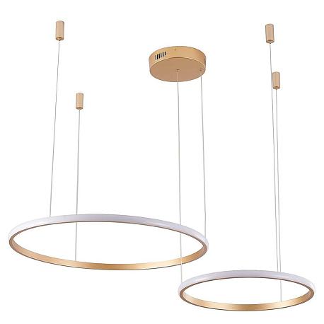 Изображение Подвесной светильник Zortes RINGOLIGHT ZRS.33320.63F