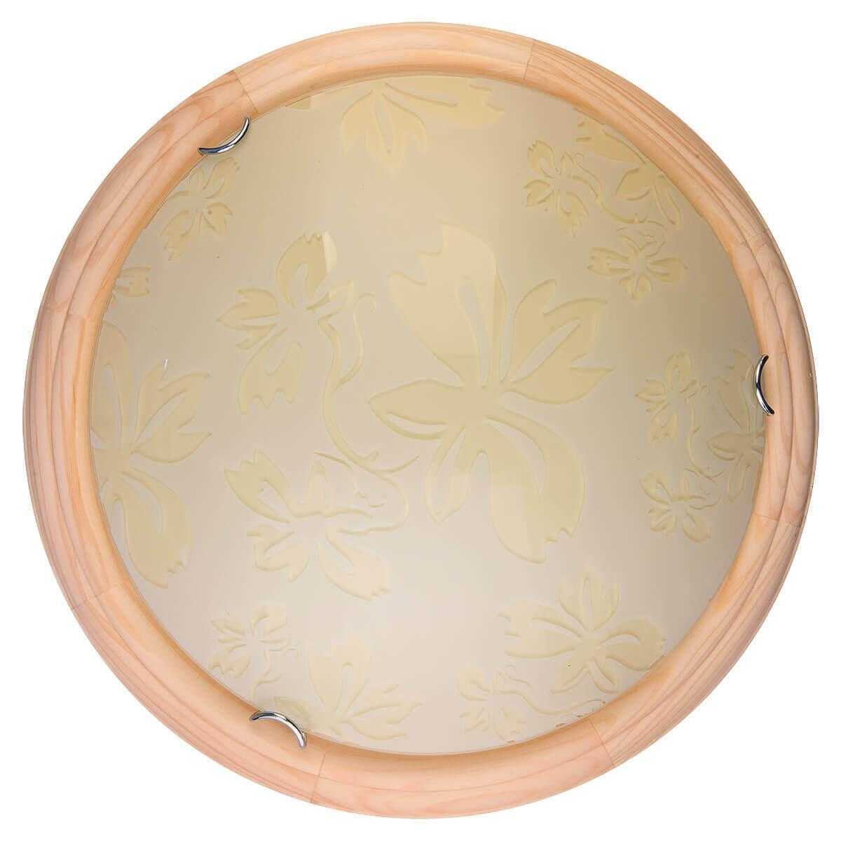 Изображение Настенно-потолочный светодиодный светильник Toplight Jane TL9640Y-00PN