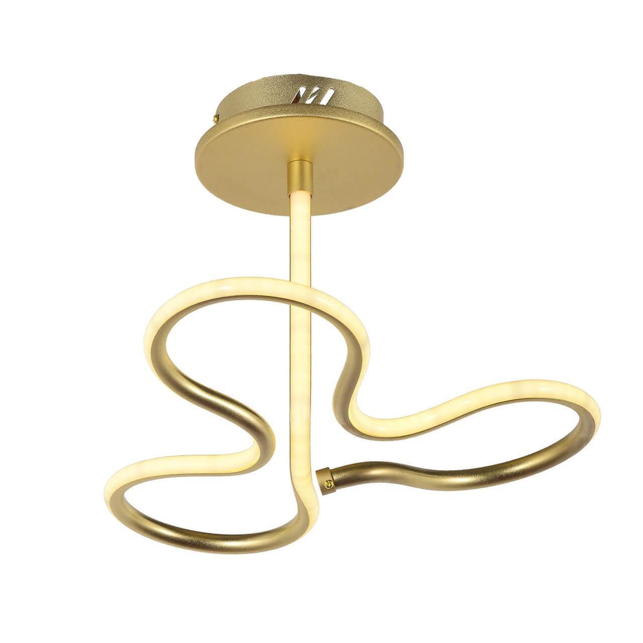 Изображение Потолочный светодиодный светильник Arti Lampadari Angelo L 1.2.35.03 G