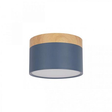 Изображение Накладной светодиодный светильник Loft IT Grape 10162 Blue