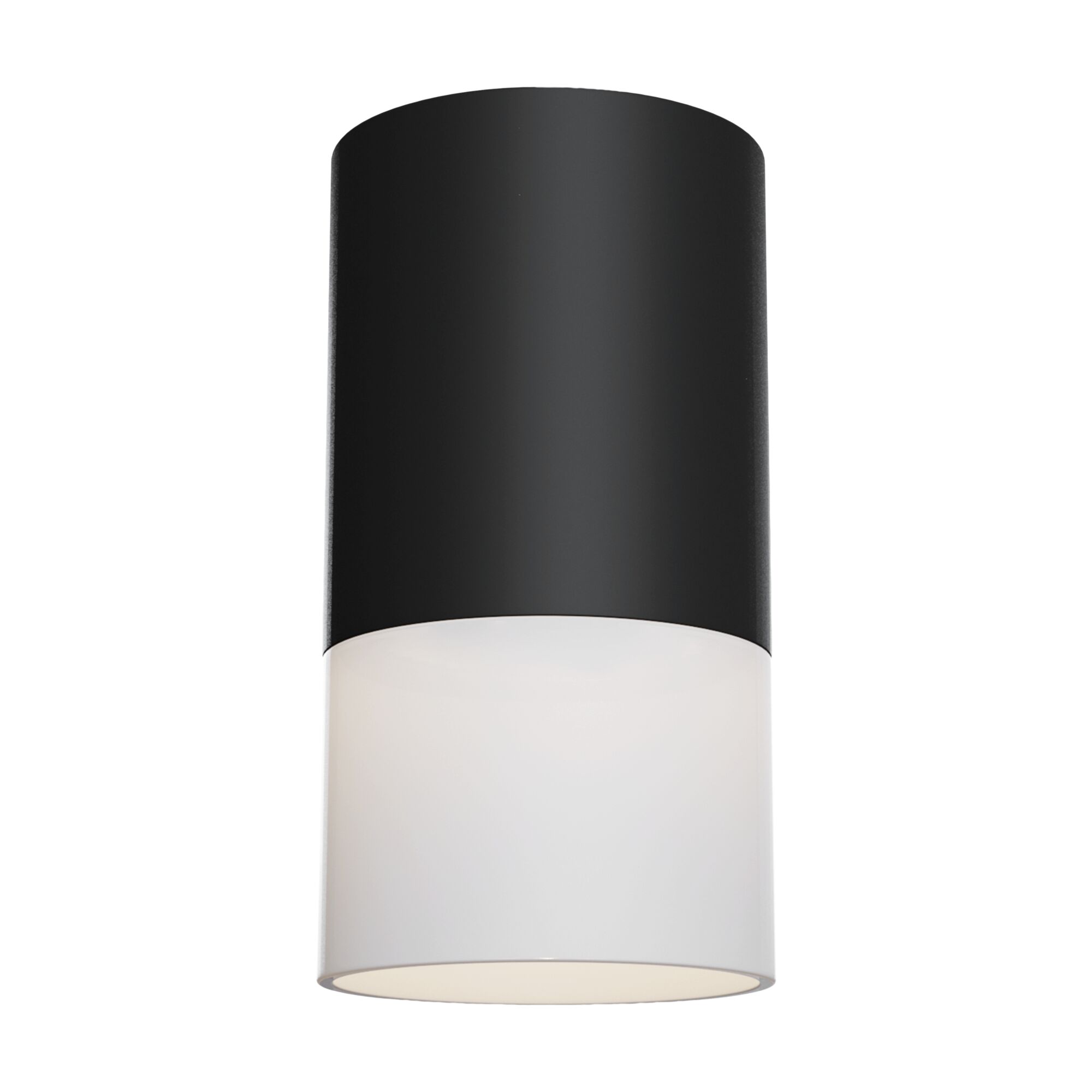 Изображение Потолочный светильник Technical C007CW-01B