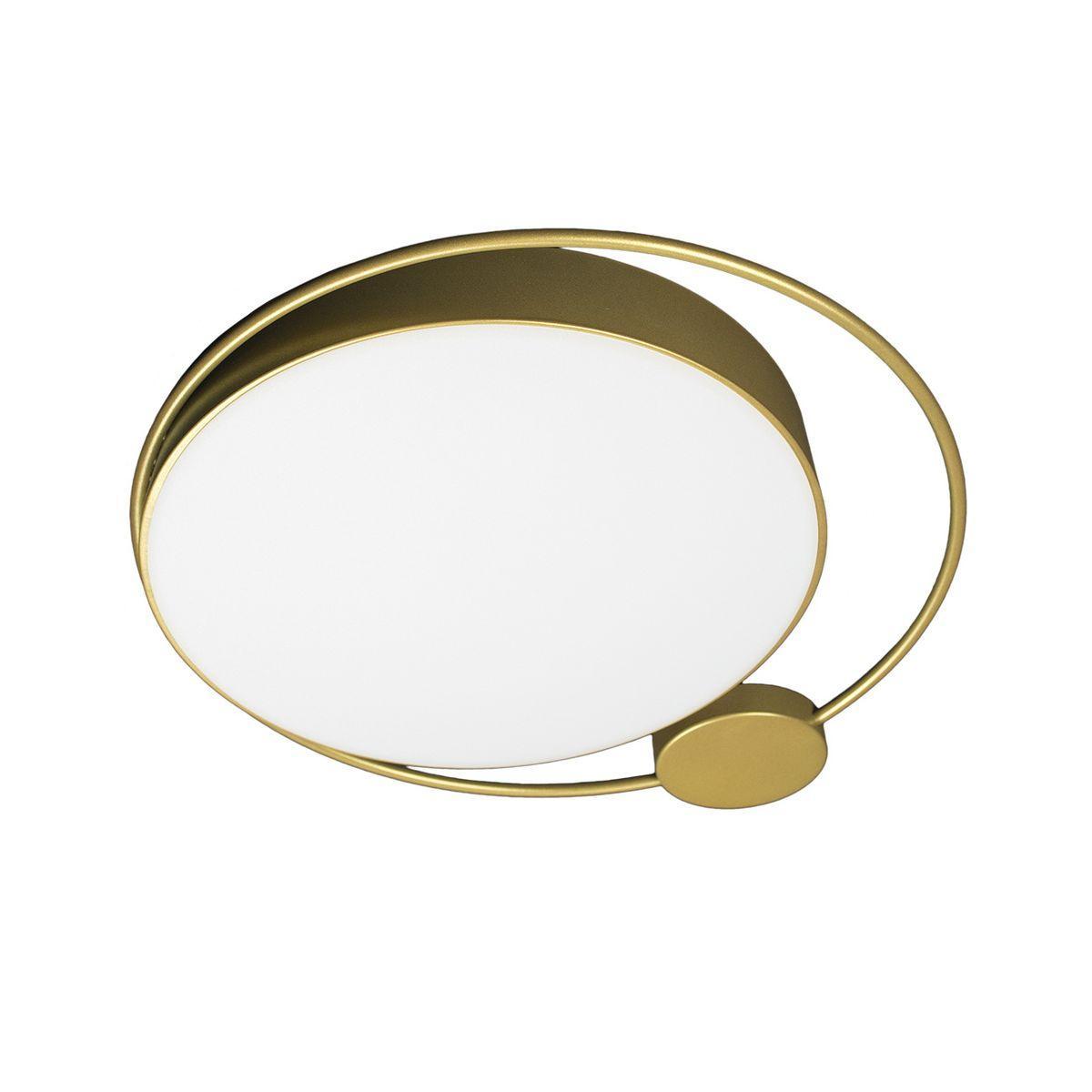 Изображение Потолочный светодиодный светильник Loft IT Mike 10063