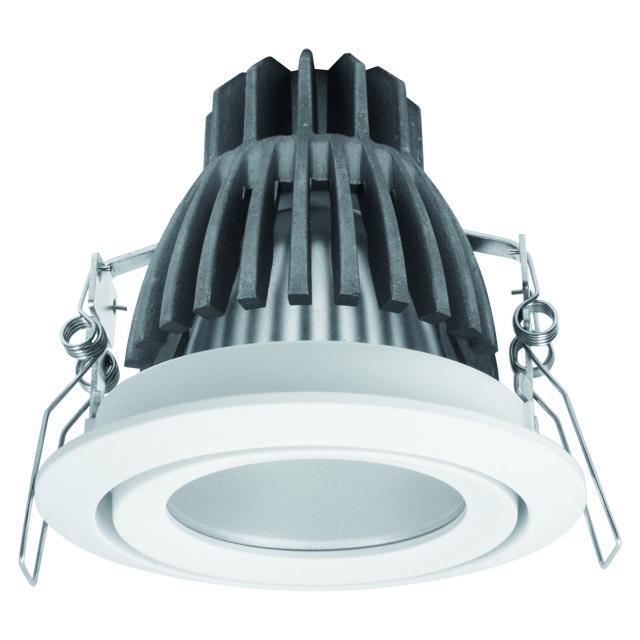 Изображение Карданный светильник Kanlux DAGO POWER LED DLP-10 8900
