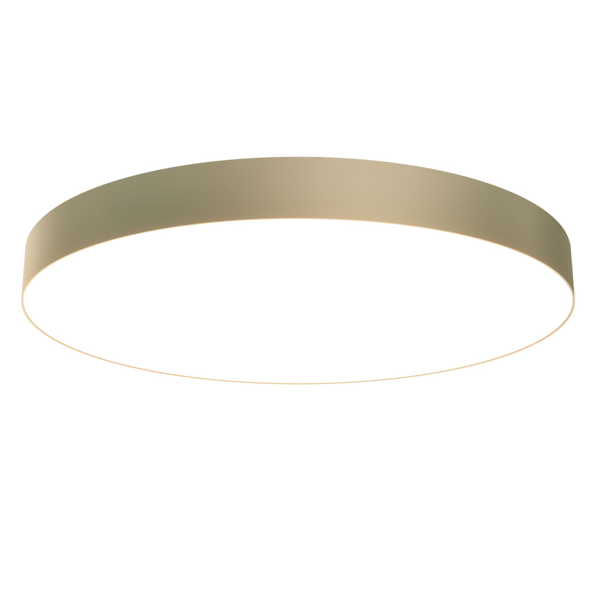 Изображение Потолочный светильник Technical C032CL-L96MG4K