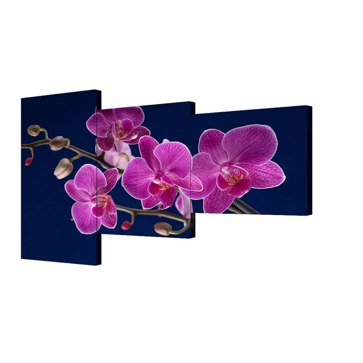 Изображение Модульная картина Божественный цветок Toplight 150х100см TL-M2020