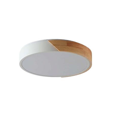 Изображение Потолочный светильник Zortes ALBERRO ZRS.01239.90