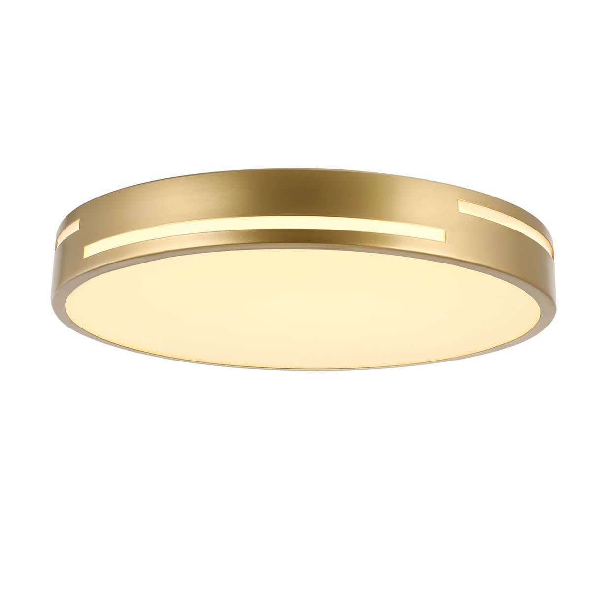 Изображение Потолочный светодиодный светильник F-Promo Pall 2745-2C