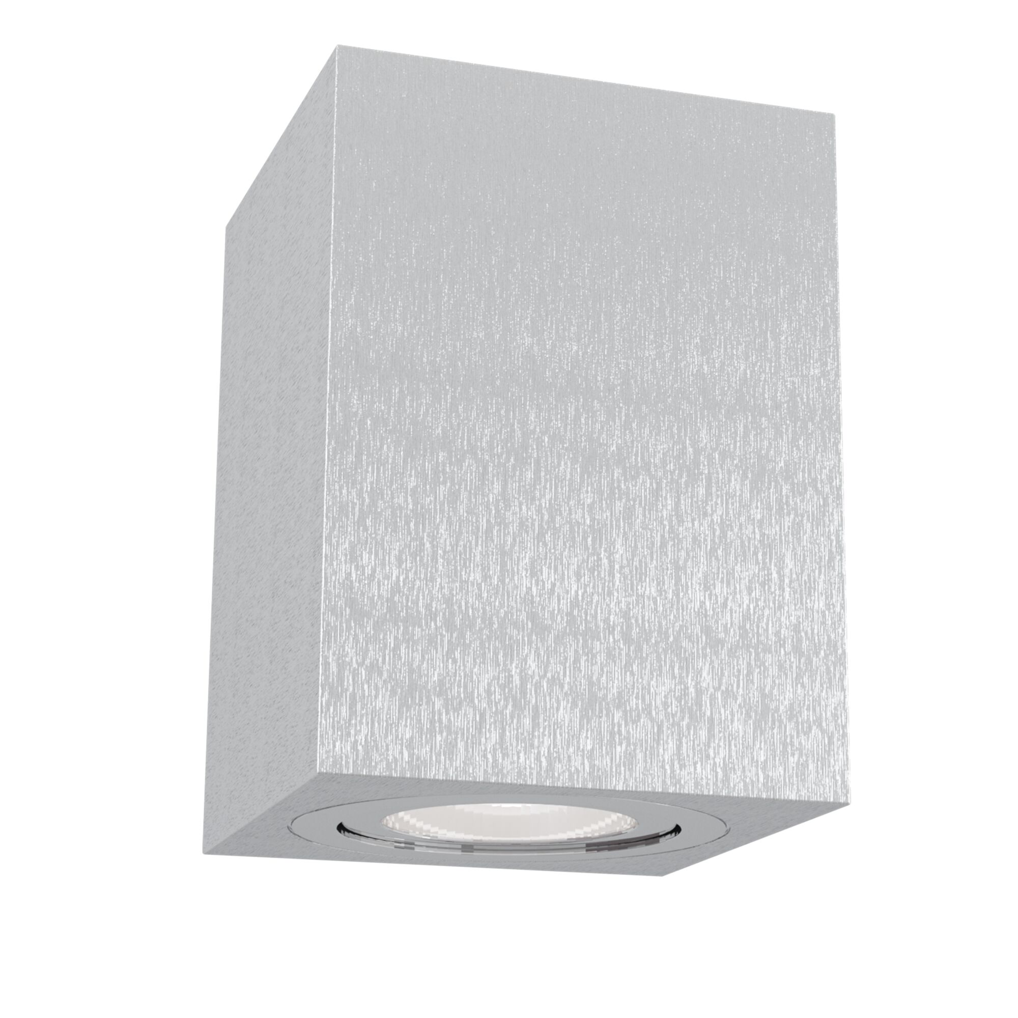 Изображение Потолочный светильник Technical C017CL-01S