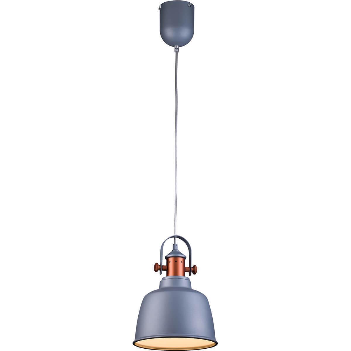 Изображение Подвесной светильник Lucia Tucci Industrial 1820.1 Sand Silver