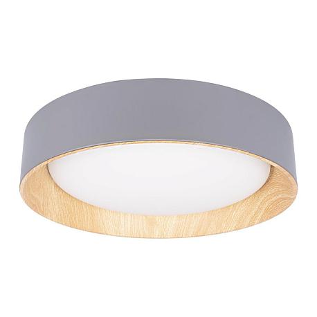 Изображение Потолочный светодиодный светильник Loft IT Coin 10202 Grey
