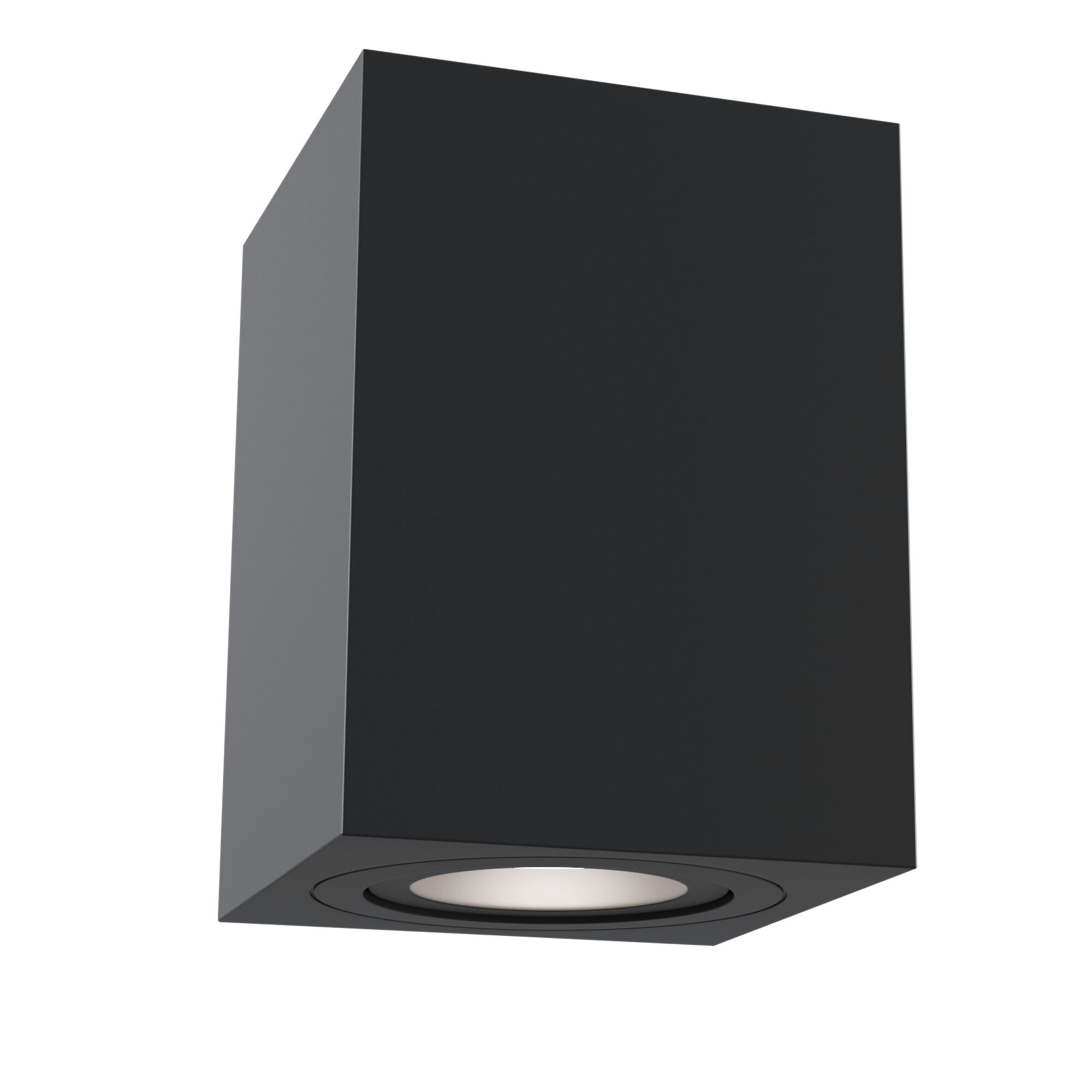 Изображение Потолочный светильник Technical C017CL-01B