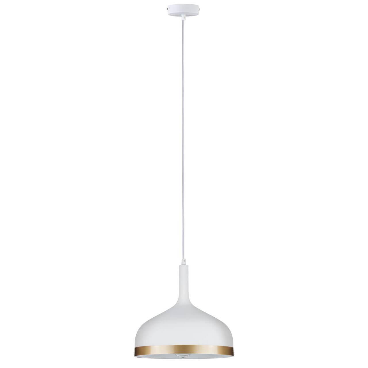 Изображение Подвесной светильник Paulmann Embla 79628