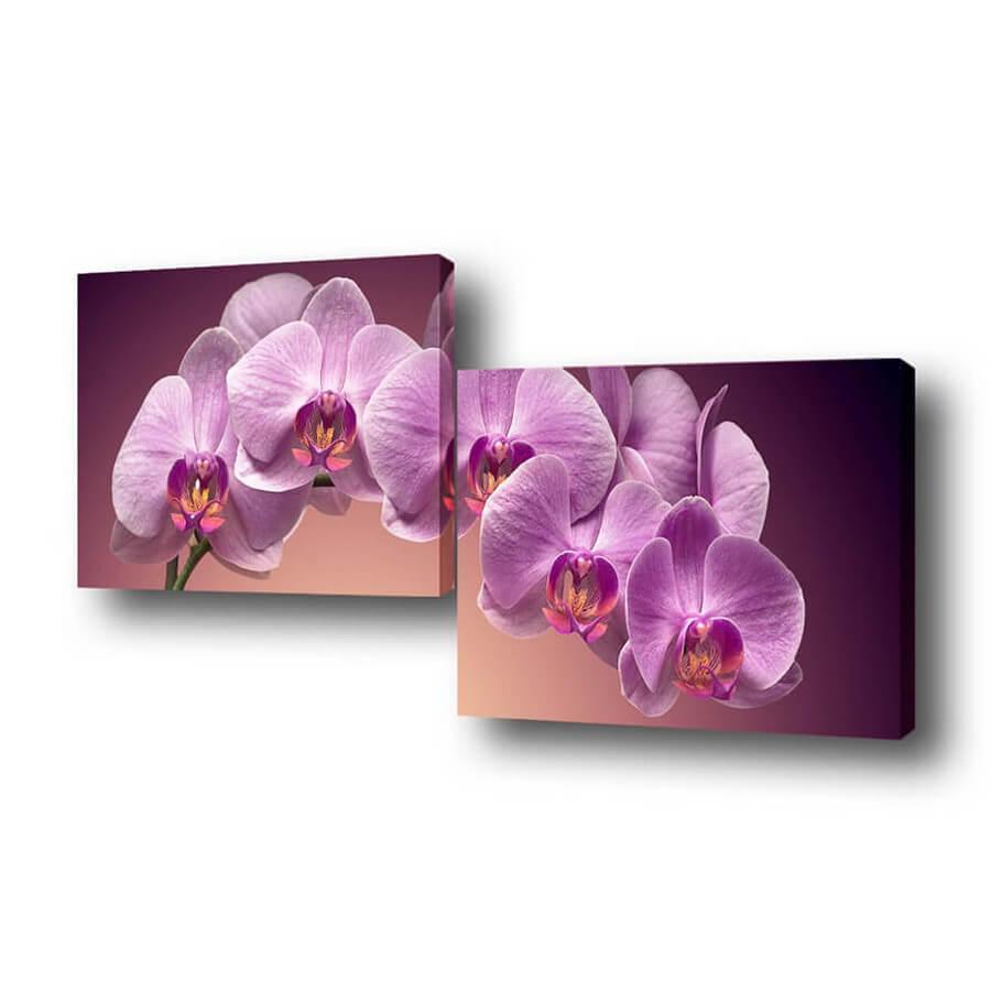 Изображение Модульная картина Нежность цветка Toplight 150х50см TL-M2019