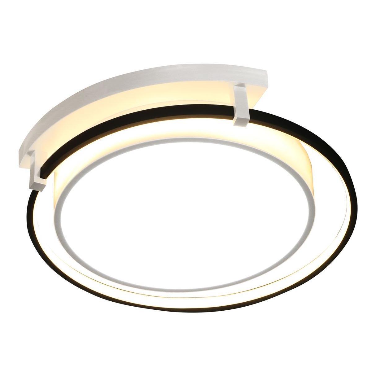 Изображение Потолочный светодиодный светильник Escada 10243/2LED