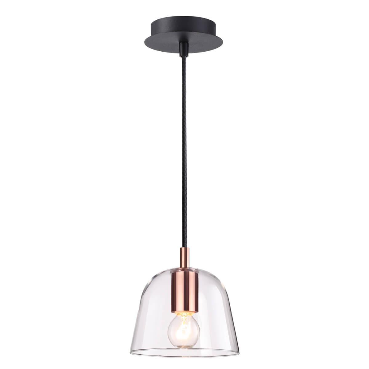 Изображение Подвесной светильник Lumion Joseph 4455/1