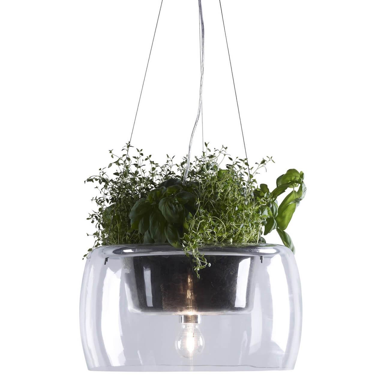 Изображение Подвесной светильник Markslojd Plant 105328