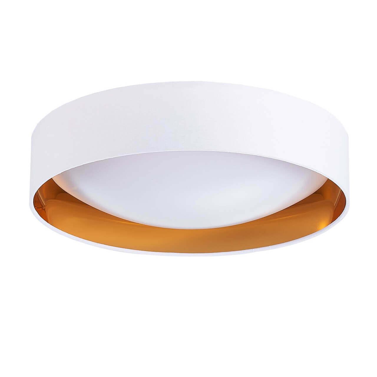 Изображение Потолочный светодиодный светильник Evoluce Orbio SLE201122-01