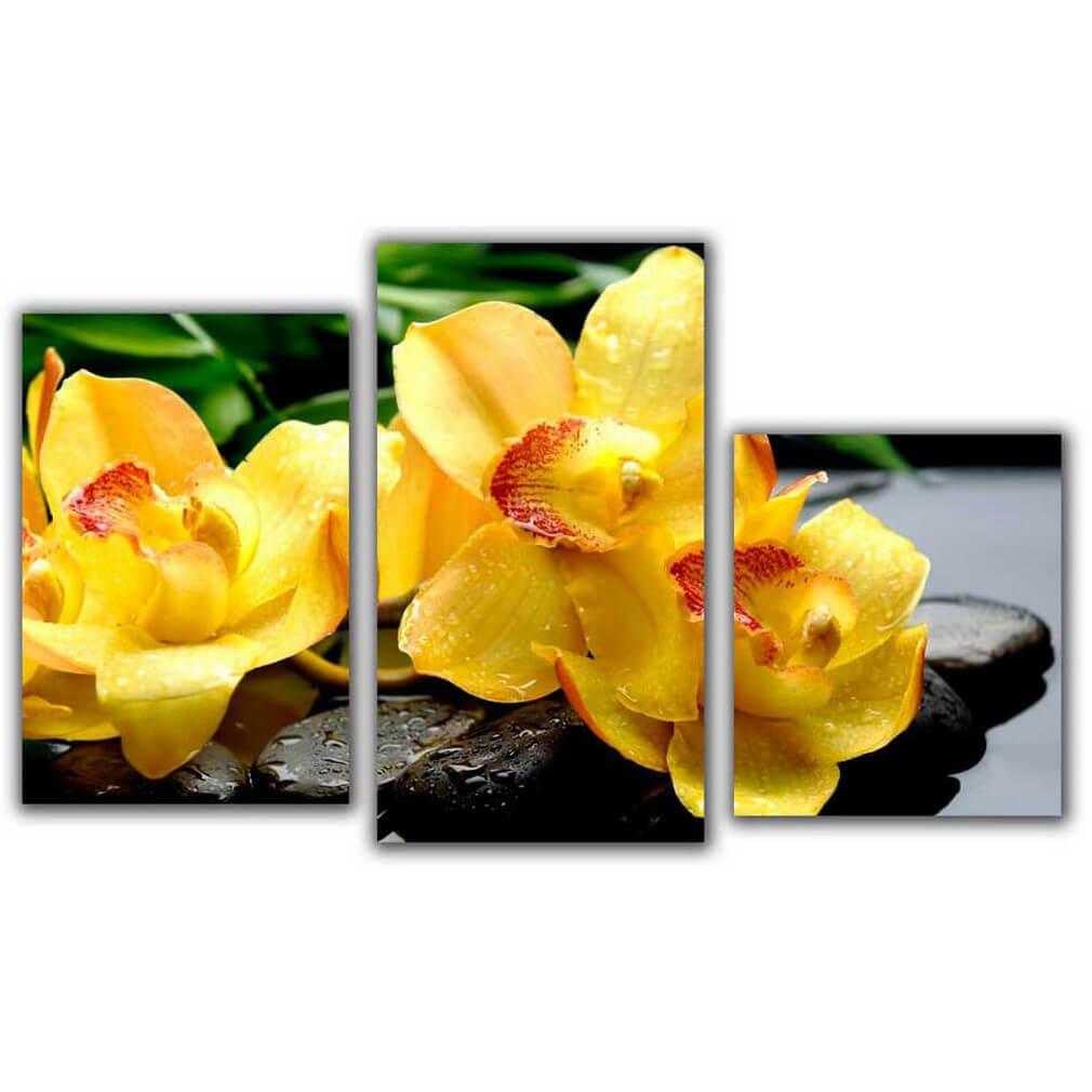 Изображение Мини модульная картина Желтый пестик Toplight 55х94см TL-MM1040