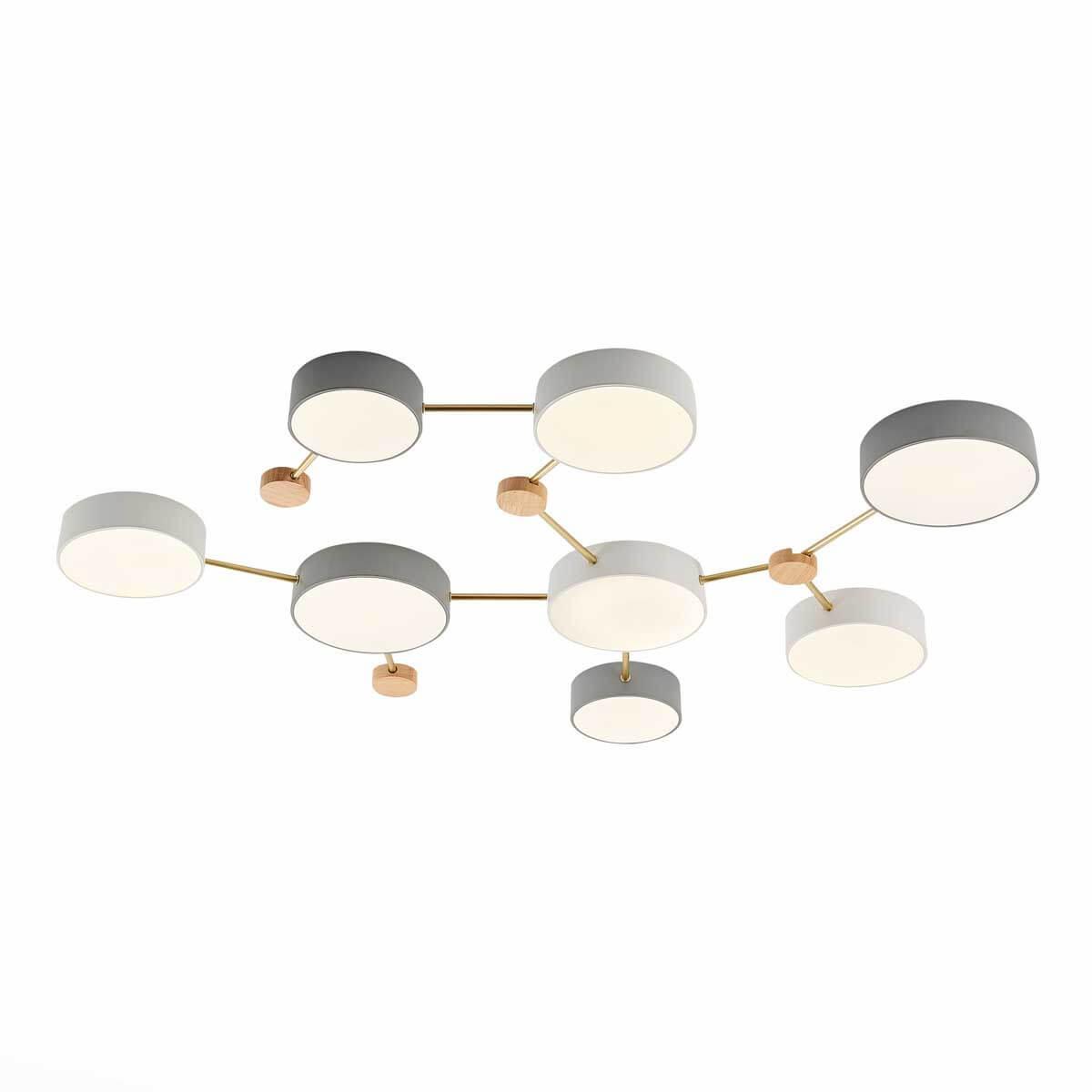 Изображение Потолочный светильник Evoluce DOSSENA SLE600102-08