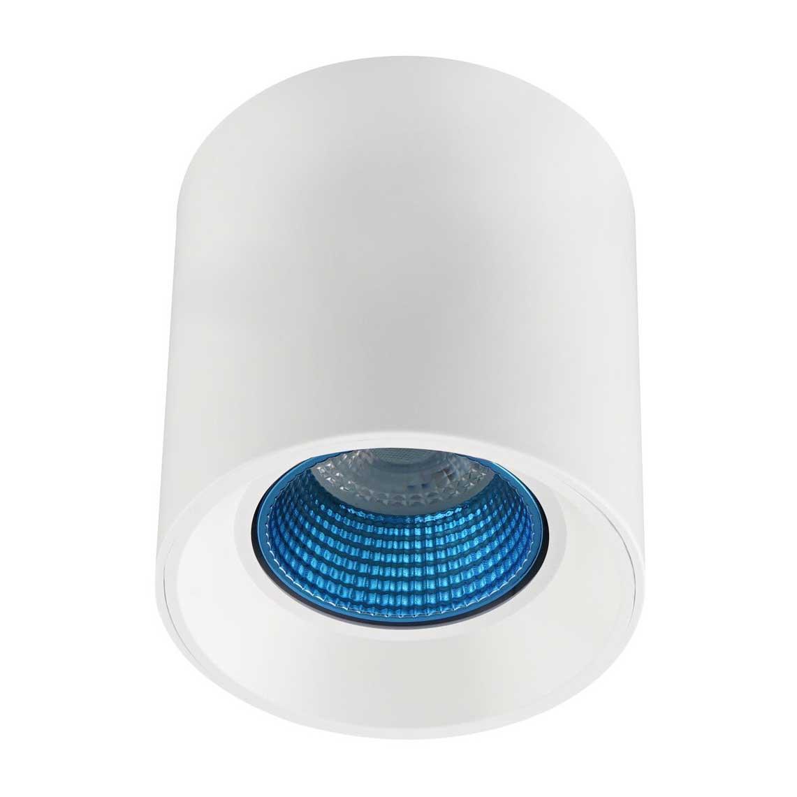 Изображение Потолочный светильник Denkirs DK3020WСY DK3090-WH+CY