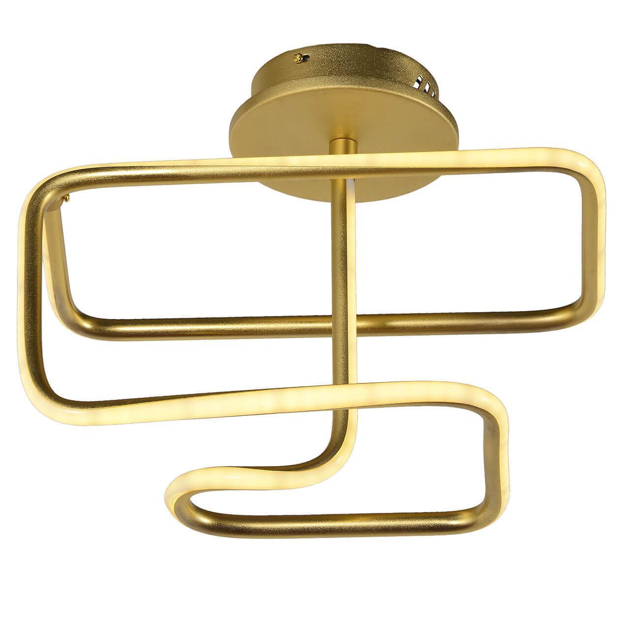 Изображение Потолочный светодиодный светильник Arti Lampadari Angelo L 1.2.35.07 G