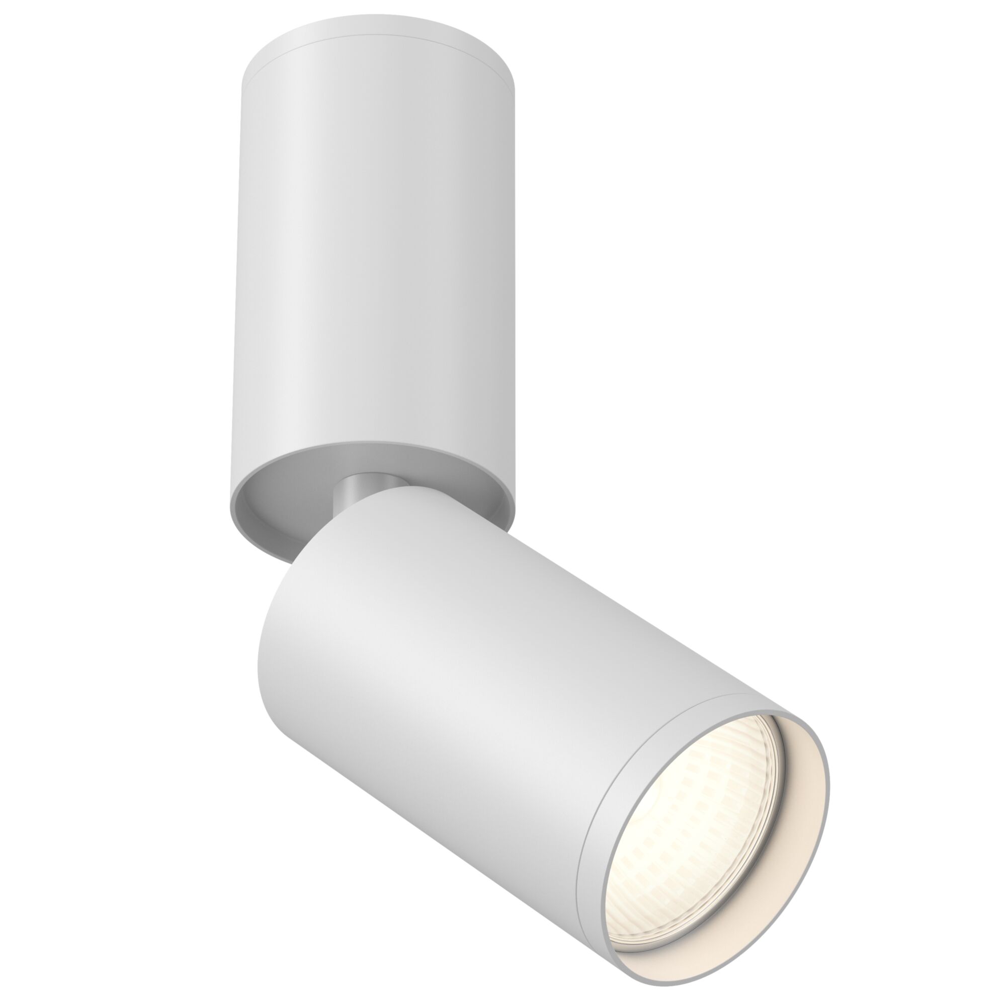 Изображение Потолочный светильник Technical C051CL-01W