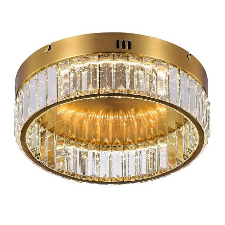 Изображение Потолочный светодиодный светильник MyFar Irina MR2010-1CL