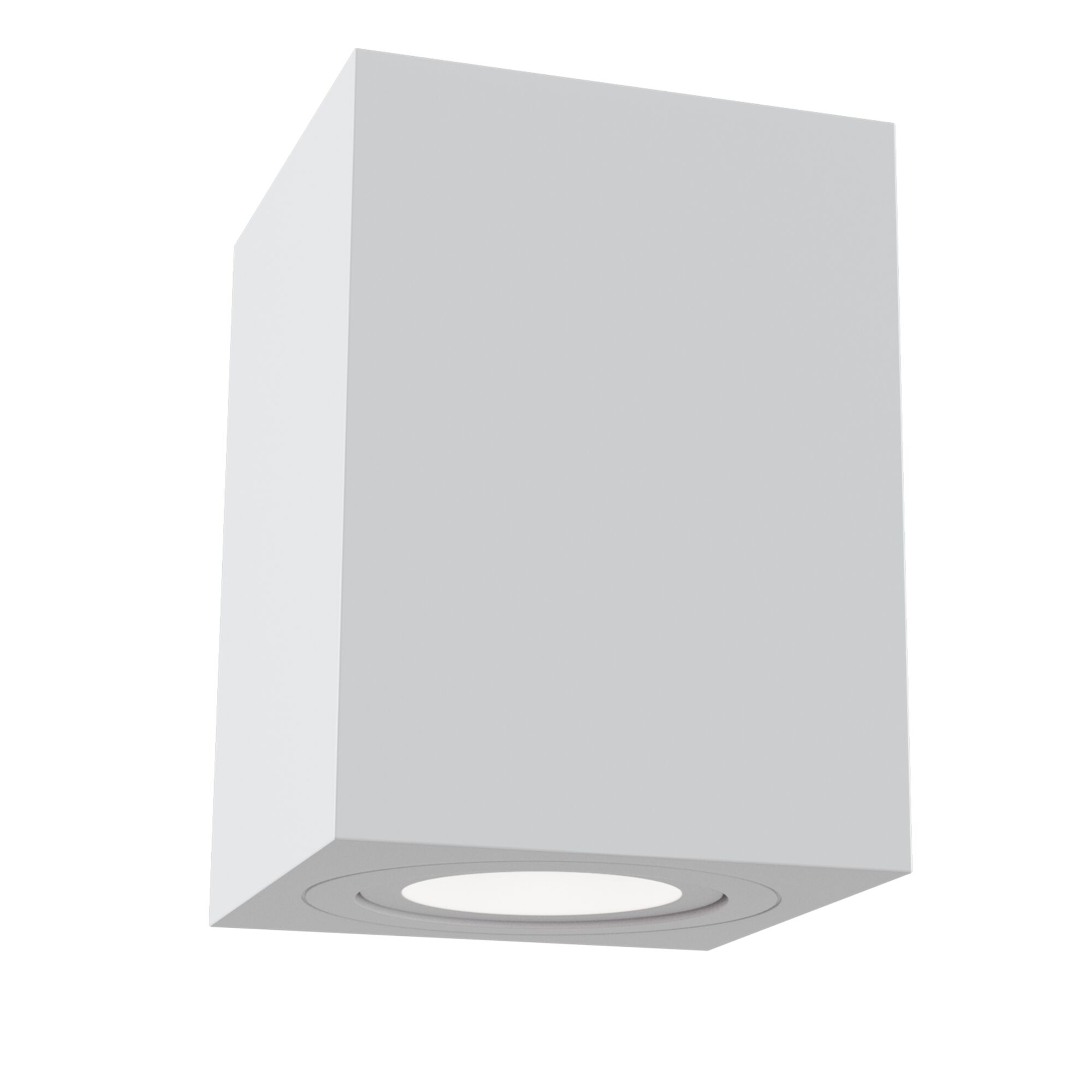 Изображение Потолочный светильник Technical C017CL-01W