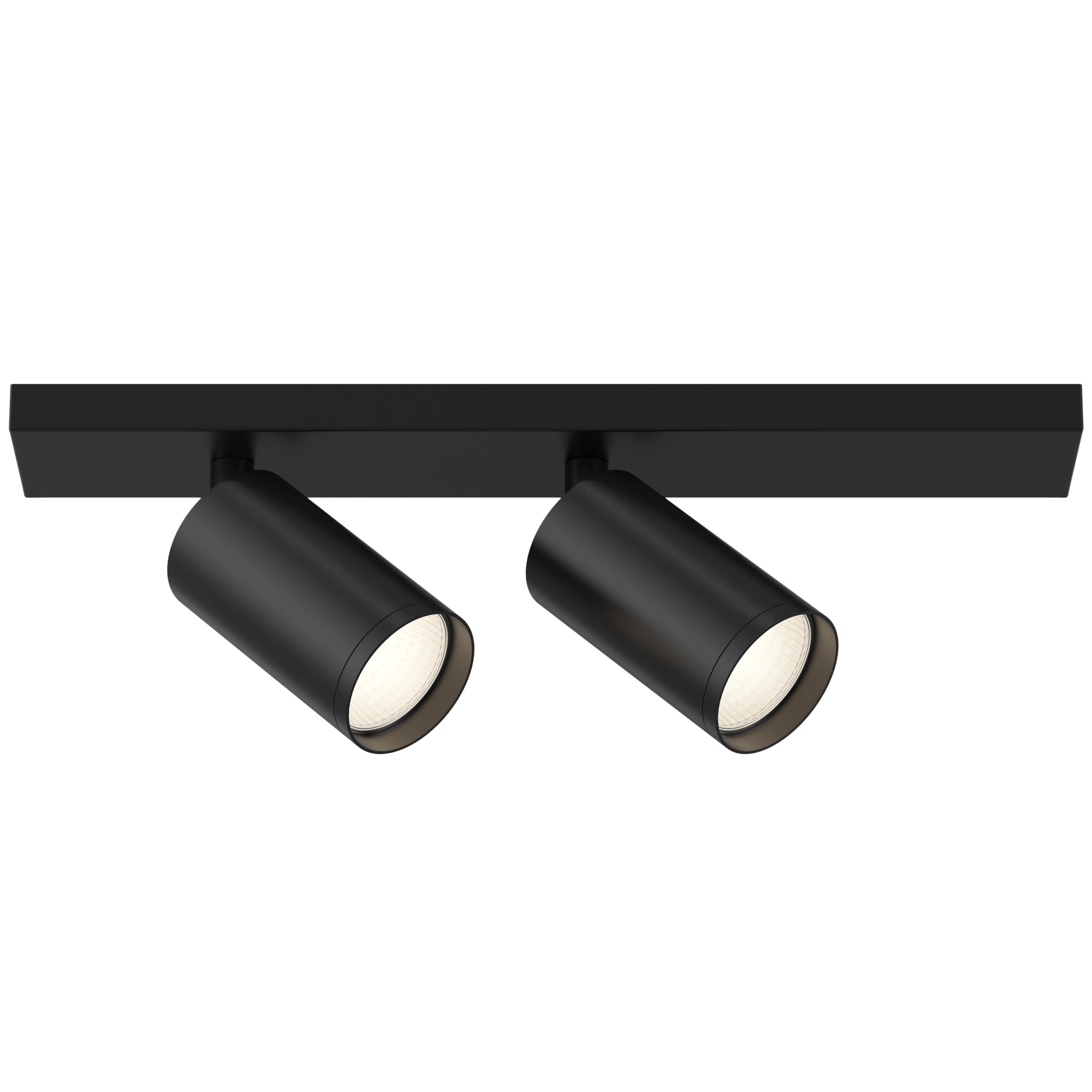 Изображение Потолочный светильник Technical C051CL-02B