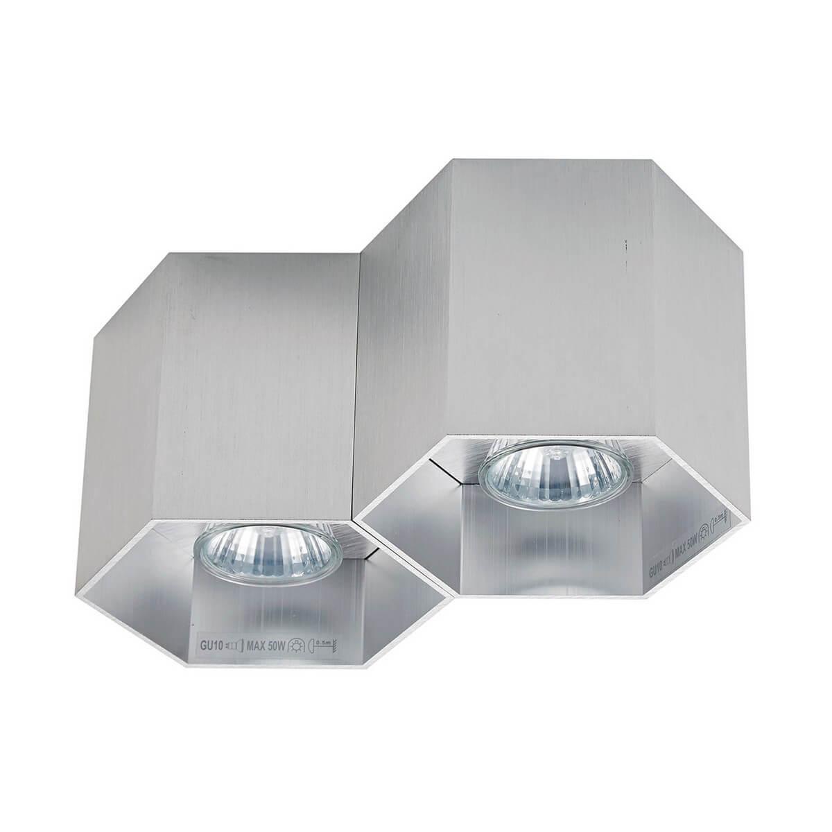 Изображение Потолочный светильник Zumaline Polygon cl2 20036-AL