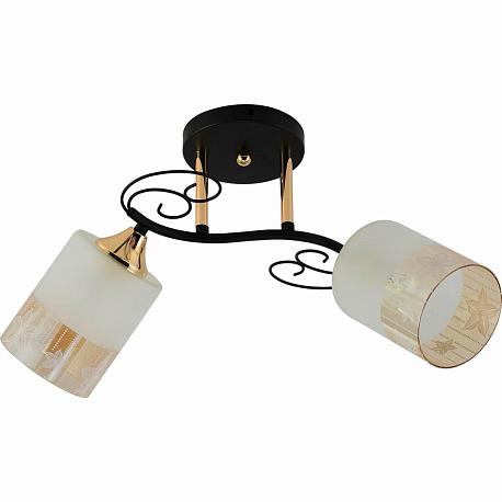 Изображение Потолочный светильник Reluce 01315-0.3-02 BK+FGD