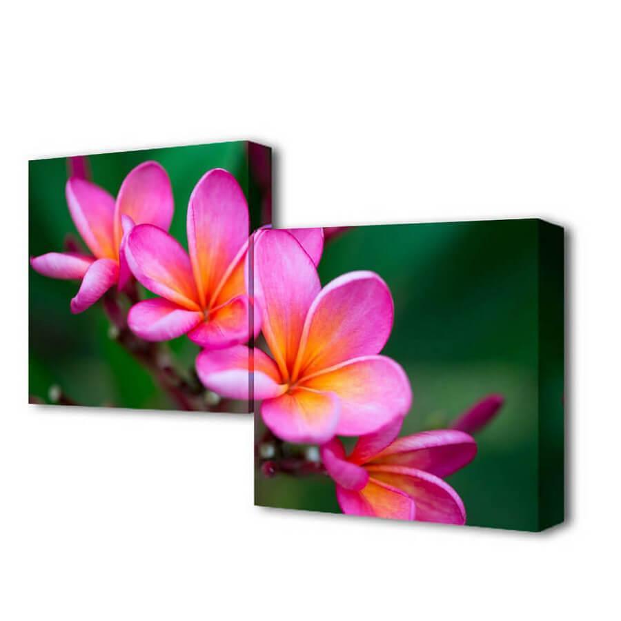 Изображение Модульная картина Нежность цветения Toplight 50x100см TL-M2010