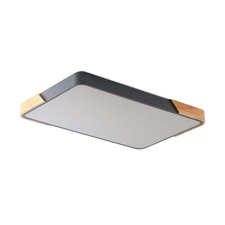 Изображение Потолочный светильник Zortes ALBERRO ZRS.01277.60