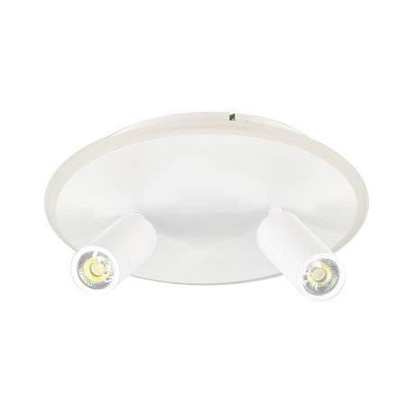 Изображение Потолочный светодиодный светильник Escada 20046SMA/02LED WH