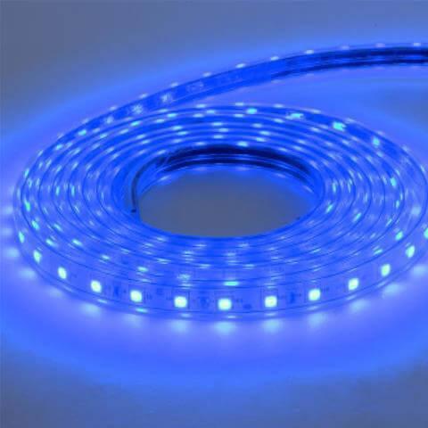 Изображение Светодиодная влагозащищенная лента Horoz 6W/m 60LED/m 5050SMD синий 50M 081-004-0001 (HL543L)