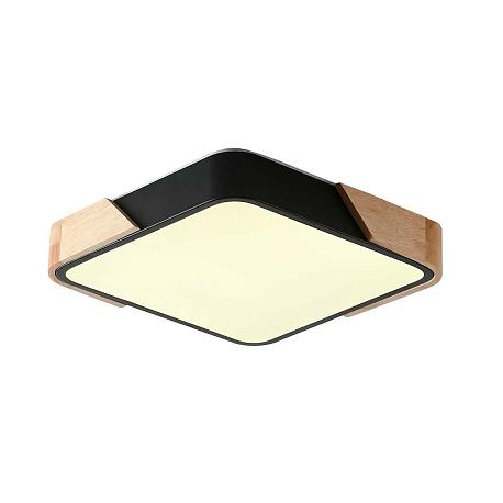 Изображение Потолочный светильник Zortes ALBERRO ZRS.01281.24