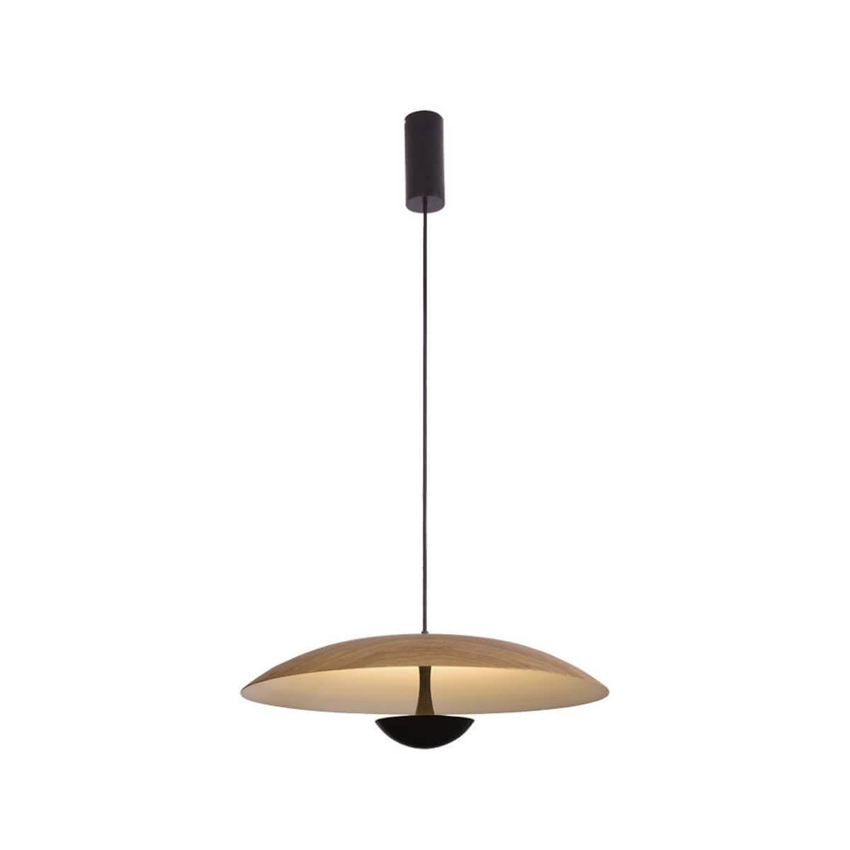 Изображение Подвесной светильник Lumien Hall Arta 8007/1PL-WD