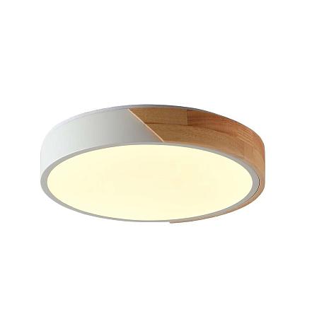 Изображение Потолочный светильник Zortes ALBERRO ZRS.01289.24