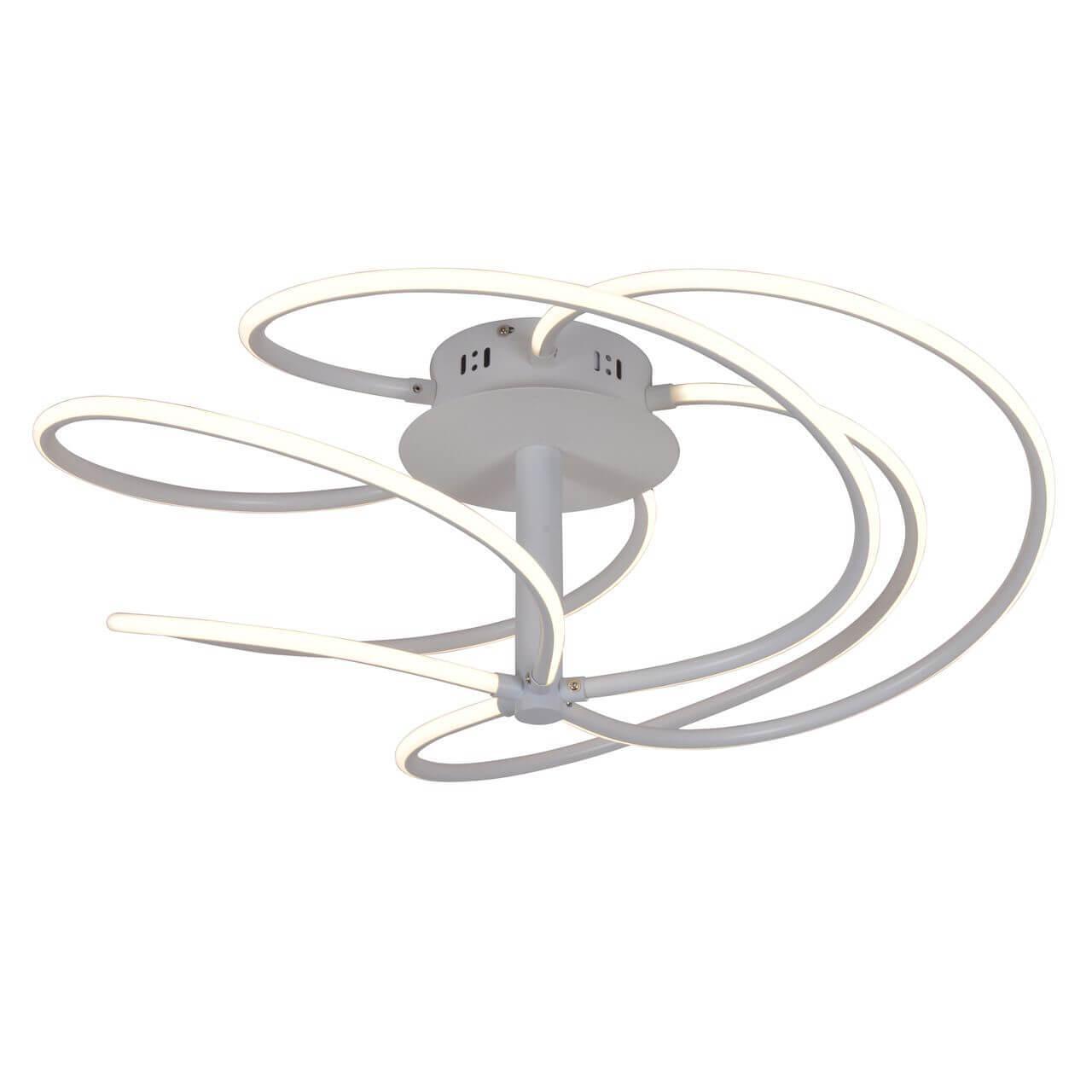 Изображение Потолочный светодиодный светильник F-Promo Impeditis 2380-5U