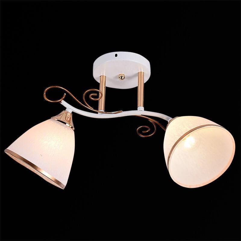 Изображение Потолочный светильник 01017-0.3-02 WH+FGD