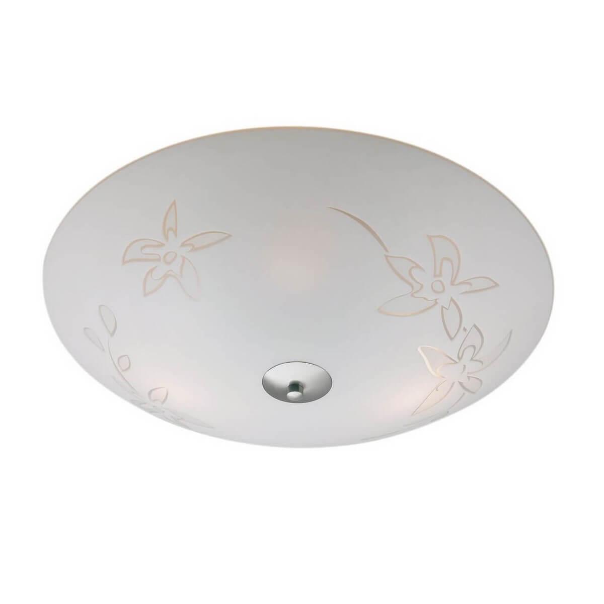 Изображение Потолочный светильник Markslojd Orchid 183341-494212