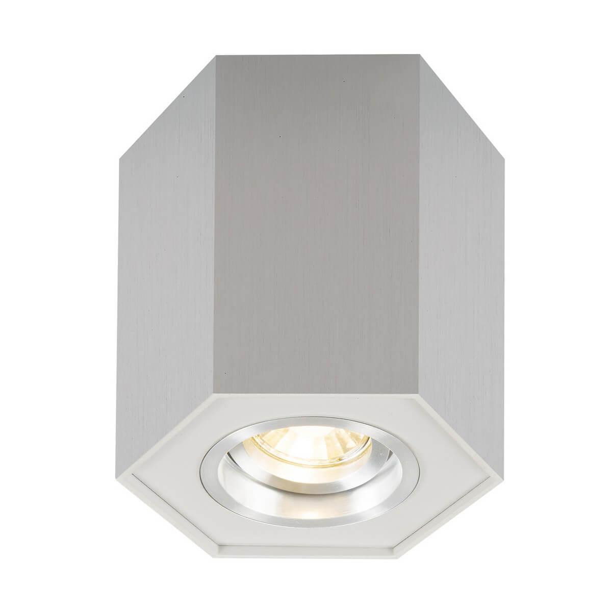 Изображение Потолочный светильник Zumaline Polygon cl r 20077-AL