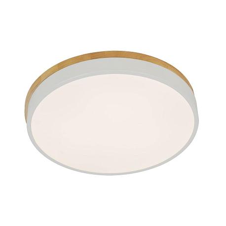 Изображение Потолочный светодиодный светильник Ritter Snello 51623 5