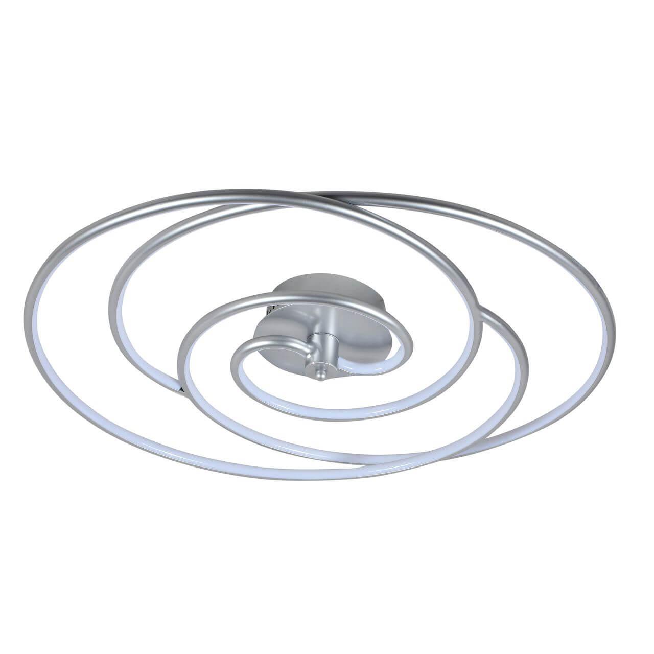 Изображение Потолочный светодиодный светильник F-Promo Sansara 2545-2U