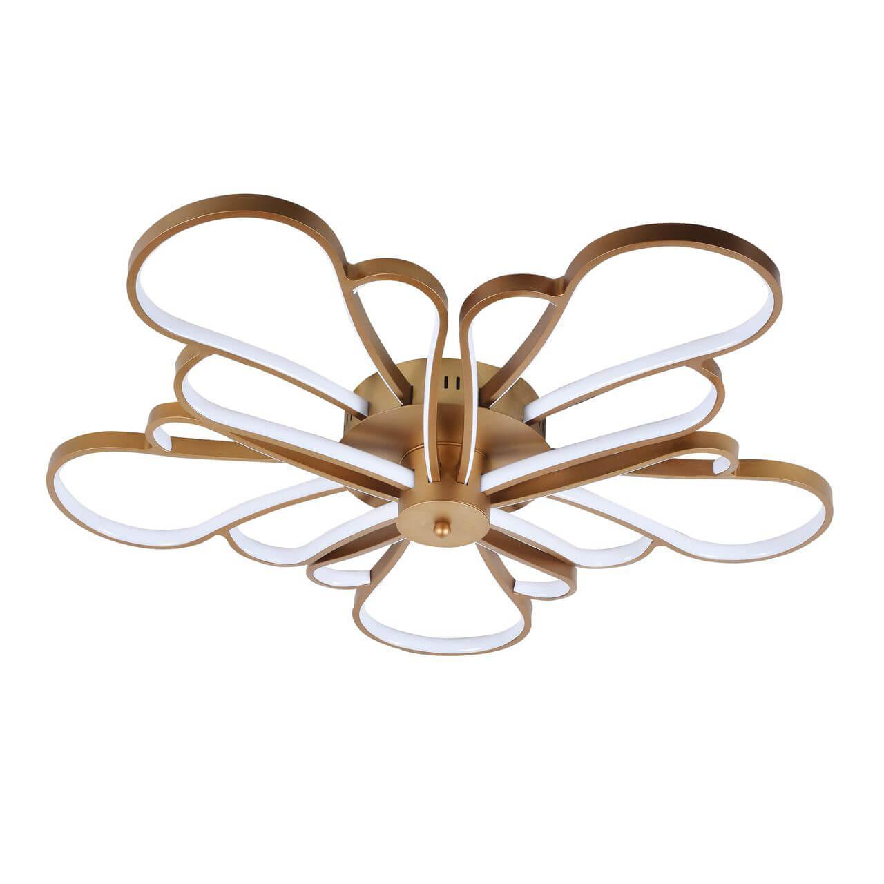 Изображение Потолочный светодиодный светильник F-Promo Bluten 2548-5U